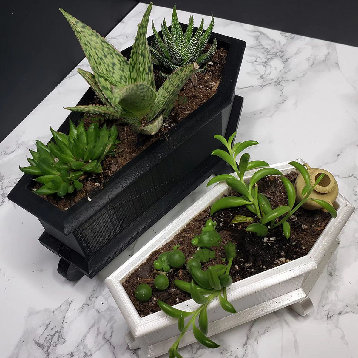 Snake Plant Ceramic - Coffin Mini Planter, Personalized Succulent Decorative